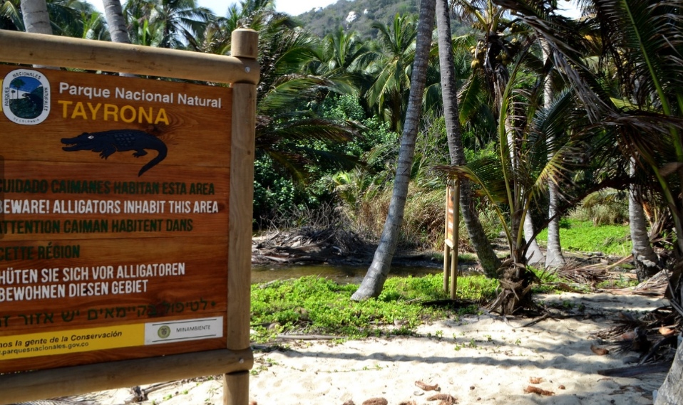 Imagen de Cómo ir al Parque Tayrona desde Santa Marta (Guía completa)