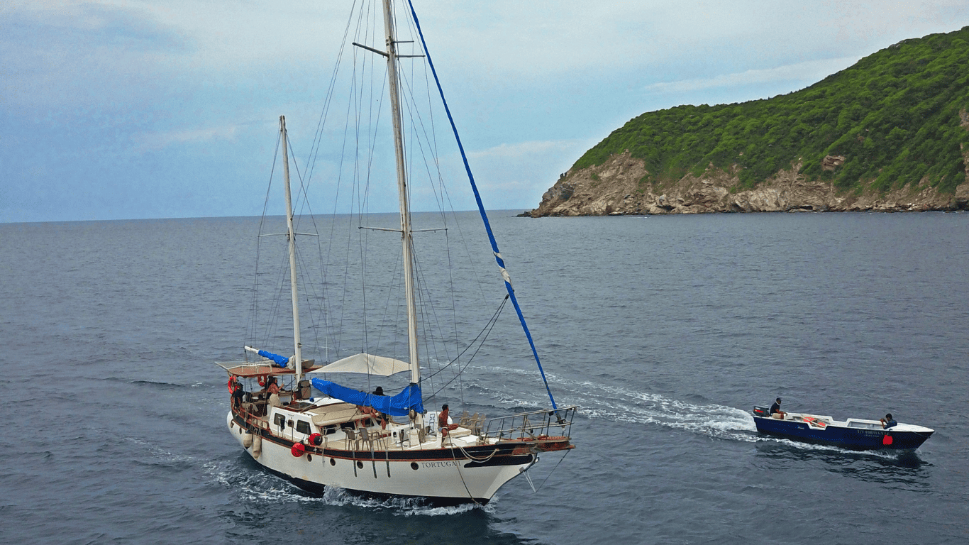 Pasadía en velero a Bahía Concha: la experiencia más tranquila del Parque Tayrona