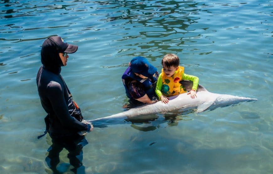 Túnel subacuático del Acuario