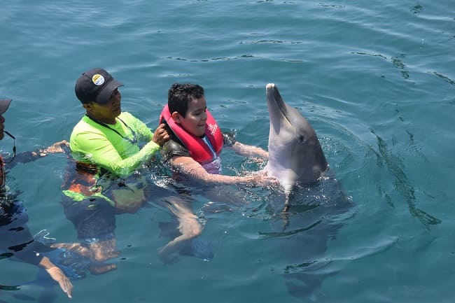 Transporte en taximarino hacia el Acuario