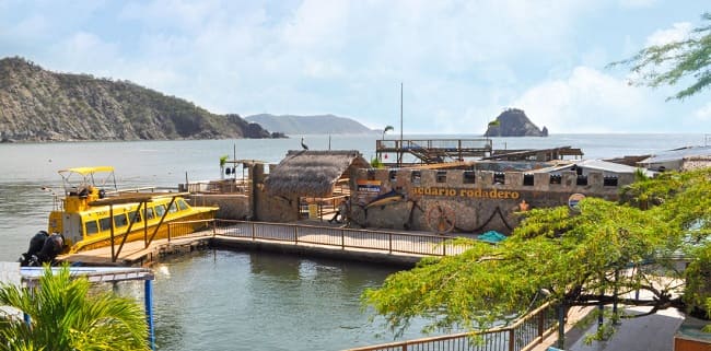 Acuario y Museo del Mar en Santa Marta: precios, ubicación, cómo llegar y qué hacer