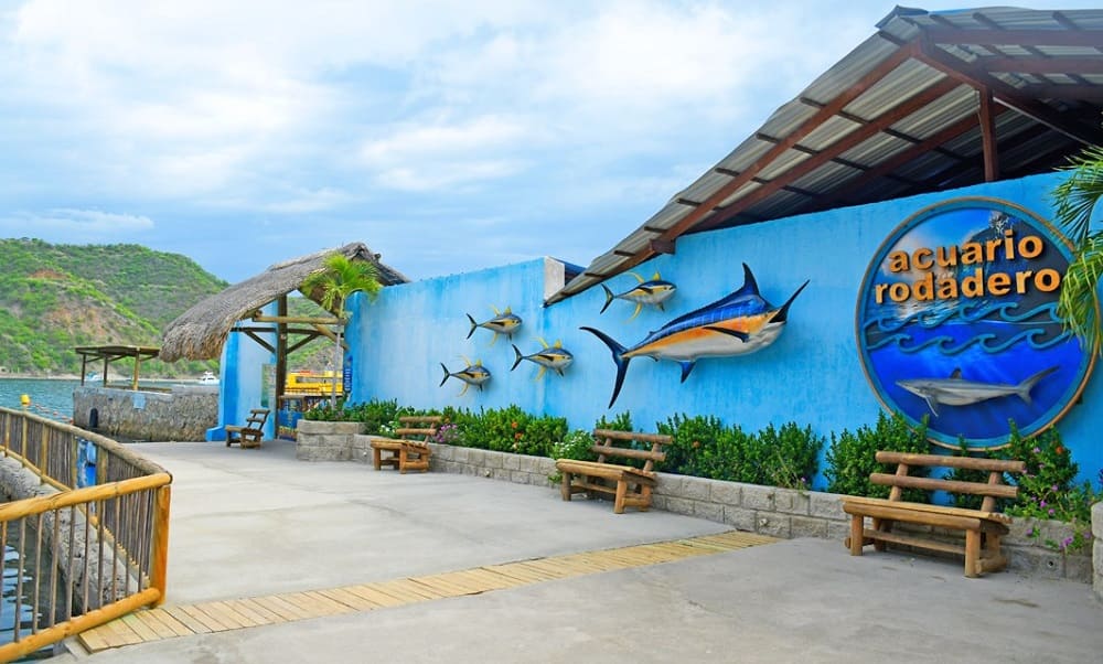 Acuario y Museo del Mar en Santa Marta: precios, ubicación, cómo llegar y qué hacer